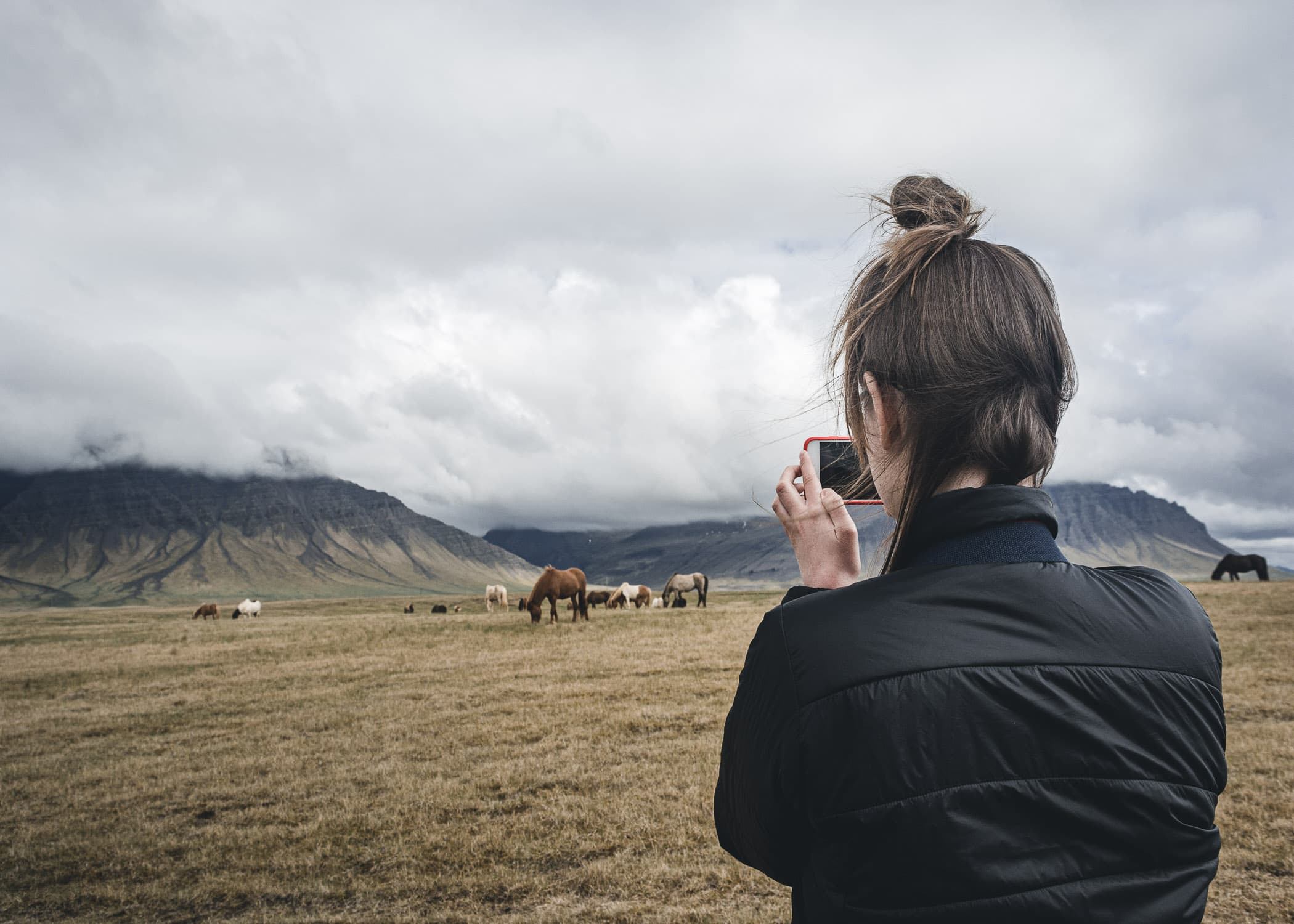 Snaefellsnes Peninsula Horses Iceland — Javier Delabat